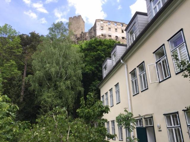 Schoene Wohnung Im Helenental Baden Eksteriør billede