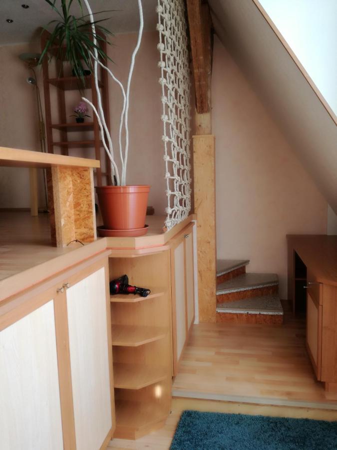 Schoene Wohnung Im Helenental Baden Eksteriør billede